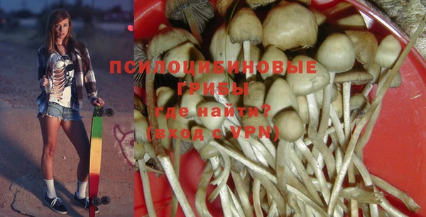 твердый Гусь-Хрустальный
