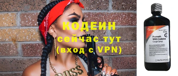 твердый Гусь-Хрустальный