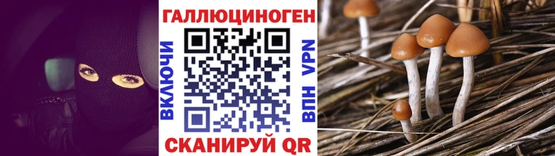 kraken ССЫЛКА  Духовщина  Псилоцибиновые грибы Psilocybe 